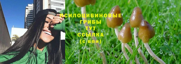 ALPHA PVP Осташков