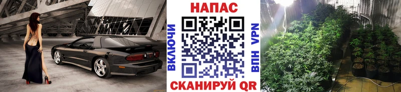 Купить закладки  Талица  МАРИХУАНА сатива 